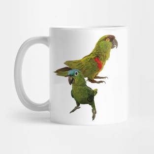 Parrots Mug